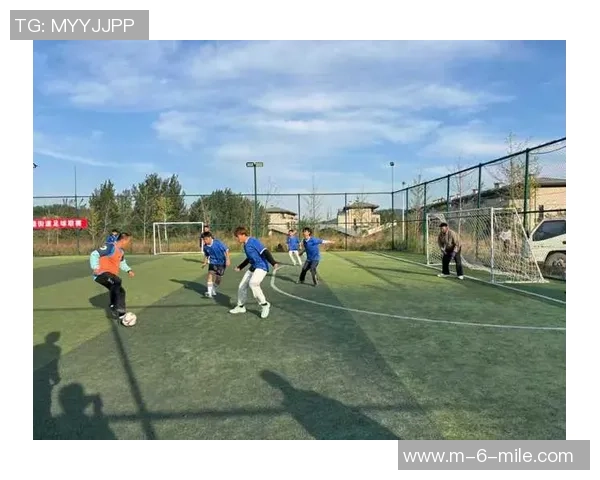 足球的魅力与精神探讨：从绿茵场上的拼搏到人生的启示